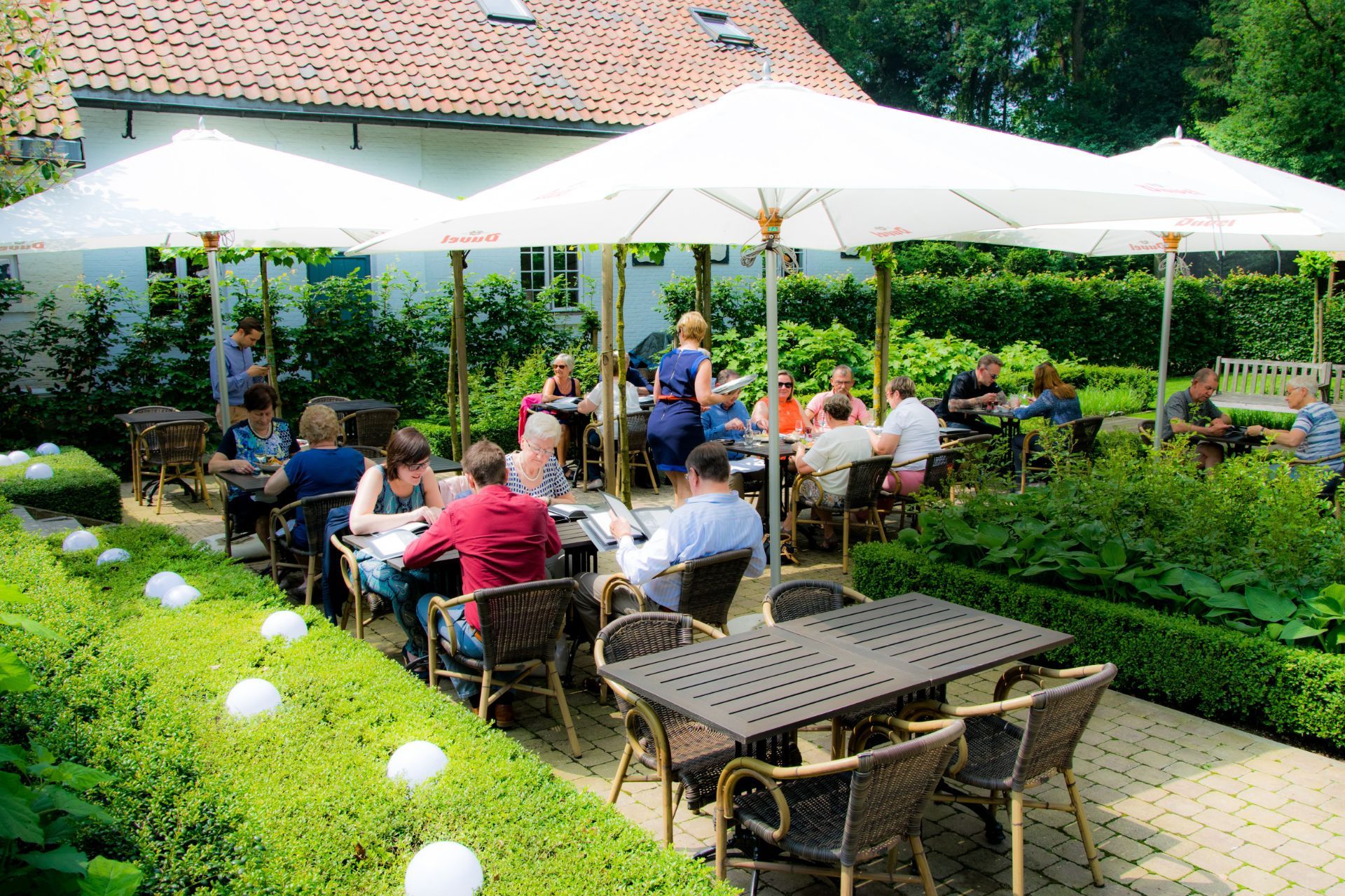 Ontdek de groene omgeving rond b&b Weselo